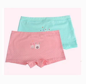 Buy Girl's Brief Children Underwear Kids Underwear Girls Kid Panties Baby  Girls Underwear from Quanzhou City Shiny Garments Co., Ltd., China