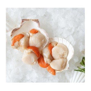 Good Taste Dried Scallop Meat for Sale