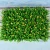 Import Green Color and Plastic Material Artificial Plants Outdoor Green Foliage Wall Decoration from China
