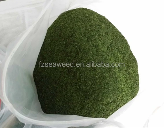 Green Curl Ulva Lactuca,Sea Lettuce grilled seaweed,Aonori