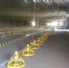 Ground Flooring Broiler Rearing Equipment with Auger/Feeder pan/Nipple Drinking/Cone Fan/Feed Sensor/Cooling pad/Curtains