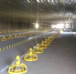 Ground Flooring Broiler Rearing Equipment with Auger/Feeder pan/Nipple Drinking/Cone Fan/Feed Sensor/Cooling pad/Curtains