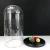 Import Handmade High Quality Borosilicate Glass Crafts Display Cover with Stand from China