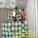 HDPE Sun Shade Net / Shade Sail (Factory)