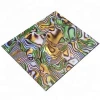 High gloss Imitation abalone shell paper pvc decorative films