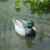 Import High quality big drake garden PE blow molding duck outdoor hunting supplies hunting decoy garden ornaments decoration from China