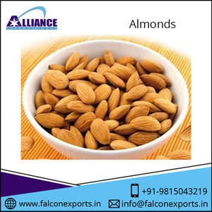 High Quality Big Size Nutritious Almonds