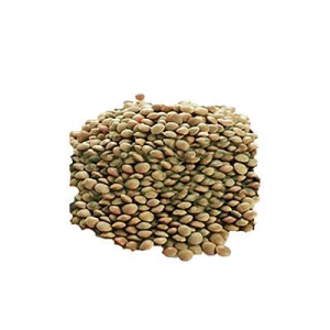 High Quality Canadian Brown Laird Lentils