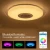 Import High quality  Modern single led ceiling lamp with Bluetooth speaker Music ceiling light Bedroom Home party  lighting Smart home from China