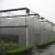 Import High Quality Multi-span Film Plastic Greenhouse for Agriculture from China