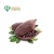 Import High Quality Natural Cocoa Powder with Good Price from China