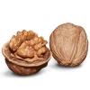 High Quality Walnut / Chilen Walnut