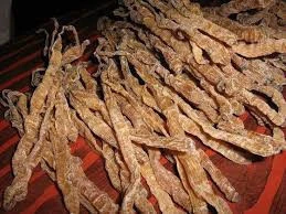 HIGH QUALITY Wholesale DRIED SEA WORMS,frozen fresh SEA WORMS for sale