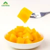 High Quality Wholesale Snacks Canned Fruits Canned Mango dices In Plastic Cup