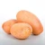 Import High-quality Yellow  Fresh Organic Vegetable Nutrition Sweet Potato from Ukraine