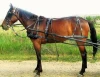 Horse Driving Harness Set with Soft Padded