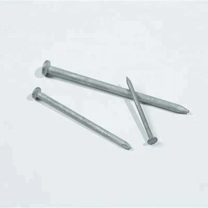 Hot-dipped common wire nails/2 HDG inch common nails