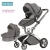 Import Hot Mom Baby Stroller 3 in 1 Travel System Pram Pushchair Accessories Star Color from China