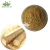 Import Hot Quality Fresh Burdock Root, Burdock Root Powder, Burdock Root Extract from China