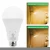 Import Hot Sale Led Indoor Lighting 110V 220V Rechargeable Emergency Led Light Bulb Lamp Lights from China