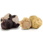 Hot Sale Nature White Truffle Sauce Cultived Mushrooms Garlic