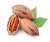 Import Hot Sale Pecan Nuts/Pecan Nuts from Philippines