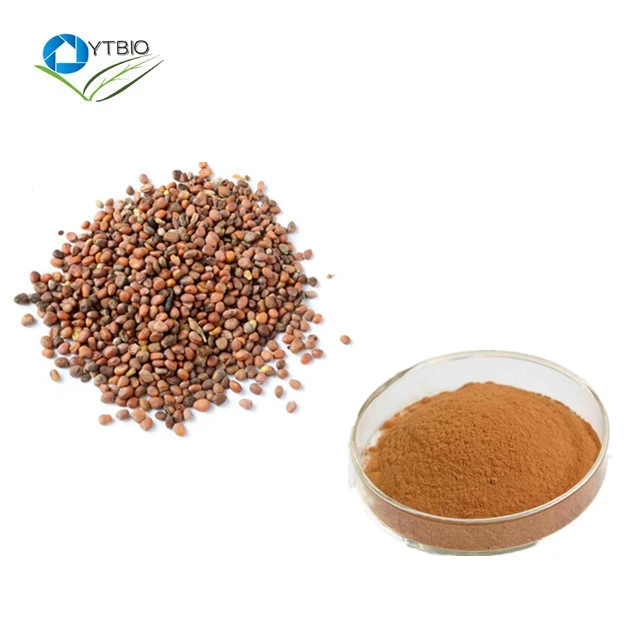 Hot Sales Radish Seed Extract/Sulforaphene 98% /Promote Digestion