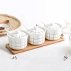 Hot Sell  Design Fancy Ceramic Spice Salt Jar With Spoon And Tray,3 Pcs Set
