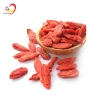 Hot selling high quality Organic Goji Berries Dried Chinese Red Wolfberry