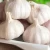 hot selling new crop premium quality garlic