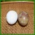 Import Hot wholesale carved natural marble stone egg for sale wedding decoration gifts &amp; crafts from China