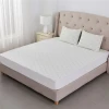 Hypoallergenic waterproof bamboo mattress protector mattress cover Bed protector bed anti-bug cover