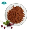 Immune Support Herbal Extract Proanthocyanidins 25% Cranberry Powder