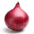 Import Indian Fresh Red onion from India