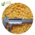 Import IQF Frozen Apricot Dices 10mm from China
