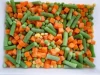 IQF frozen Mixed Vegetables high quality Class 1