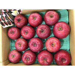 Japan delicious fresh organic fruit red apple for sale