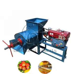 300kg/H Small Palm Oil Press, Oil Mill, Oil Extraction Machine in Africa