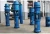 Import Large Capacity Vertical Mixed Axial Flow Pumps Submersible Water Pump Price from China