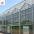Import Large glass multi-span greenhouse from China