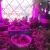 Import LED Grow Lights 20W 30W 50W 80W UV LED Plant Grow Light Full Spectrum AC110V/220V/DC12V for Indoor Cultivation from China