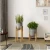 Import Living room decoration wooden plant stand outdoor adjustable modern indoor flower pot stand from China