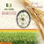 Import Long Grain 1509 Sella Basmati Rice from India