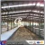 Import Low Cost Structural Steel shed for Cow Dairy  Farm from China
