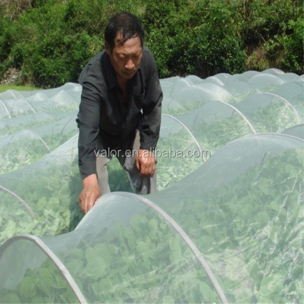 Low MOQ nylon mesh netting for greenhouse