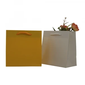 Luxury Colorful No Printing Gift Shopping Paper Wrapping Bag with Cotton Handles