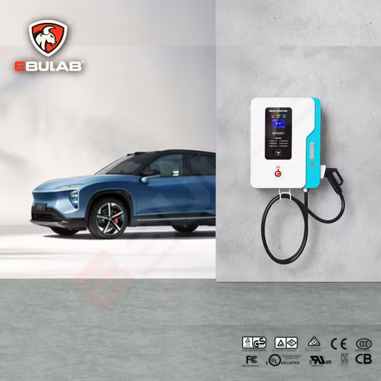 Import Manufacturer 60kw 80kw 120kw 240kw Commercial Charger Level 3 Electric Car EV Fast DC Charging Station from China