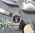 Import Mechanical Automatic Carnival Synthetic Sapphire Glass Rose Gold/Silver 8005L Girl Watch 100 M Space Star Sky Wristwatch from China