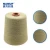Import Mildew proof nano copper polyester spun functional yarn for textile manufacturer from China