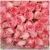 Import Multi colors fresh cut roses natural cut flowers with big bud from Yunnan from China